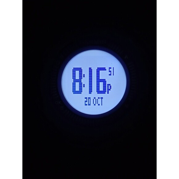 Garmin Approach S2 Golf GPS Watch White Purple Rechargeable Tested US W/ Charger - Picture 11 of 12